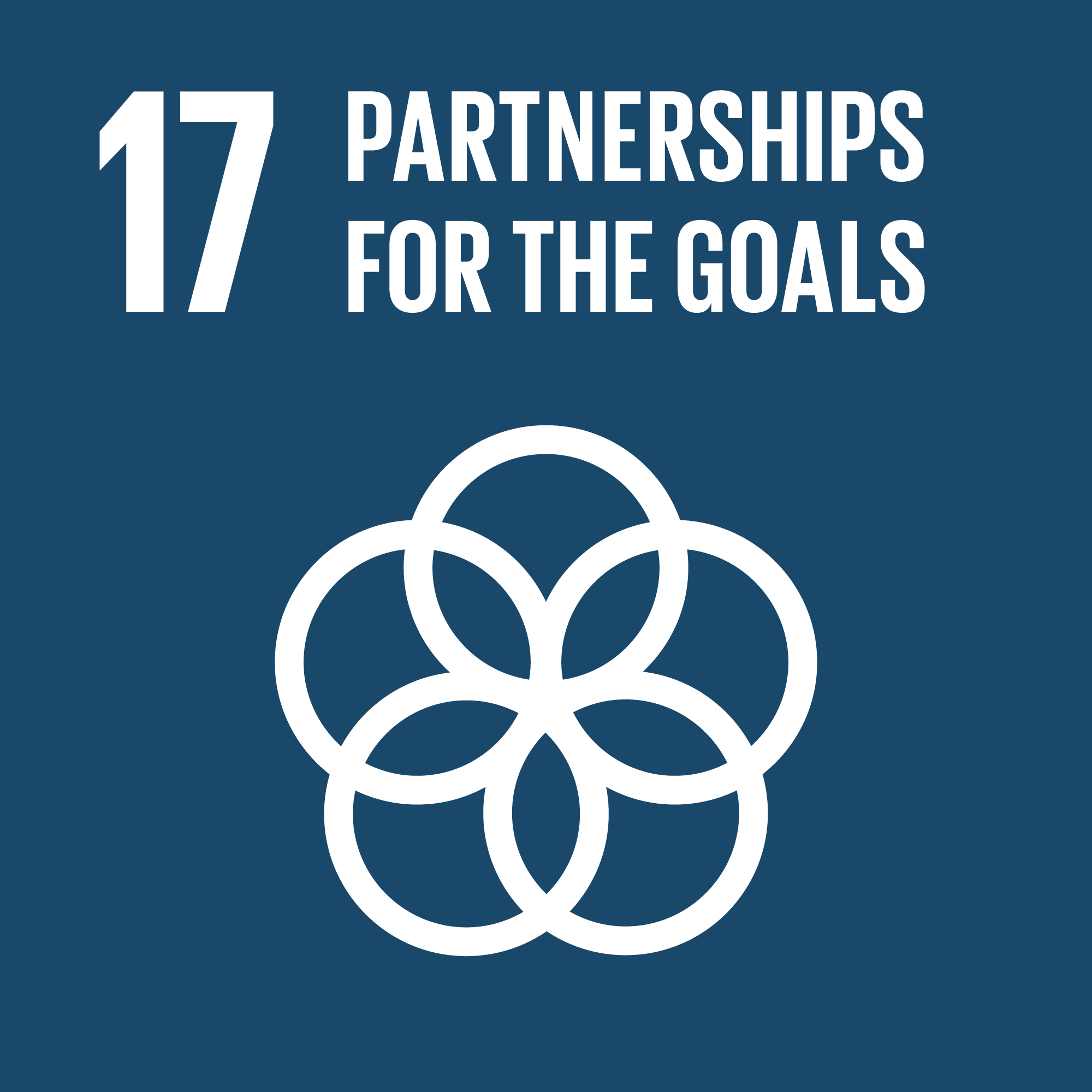 # 17 Partnership per gli obiettivi