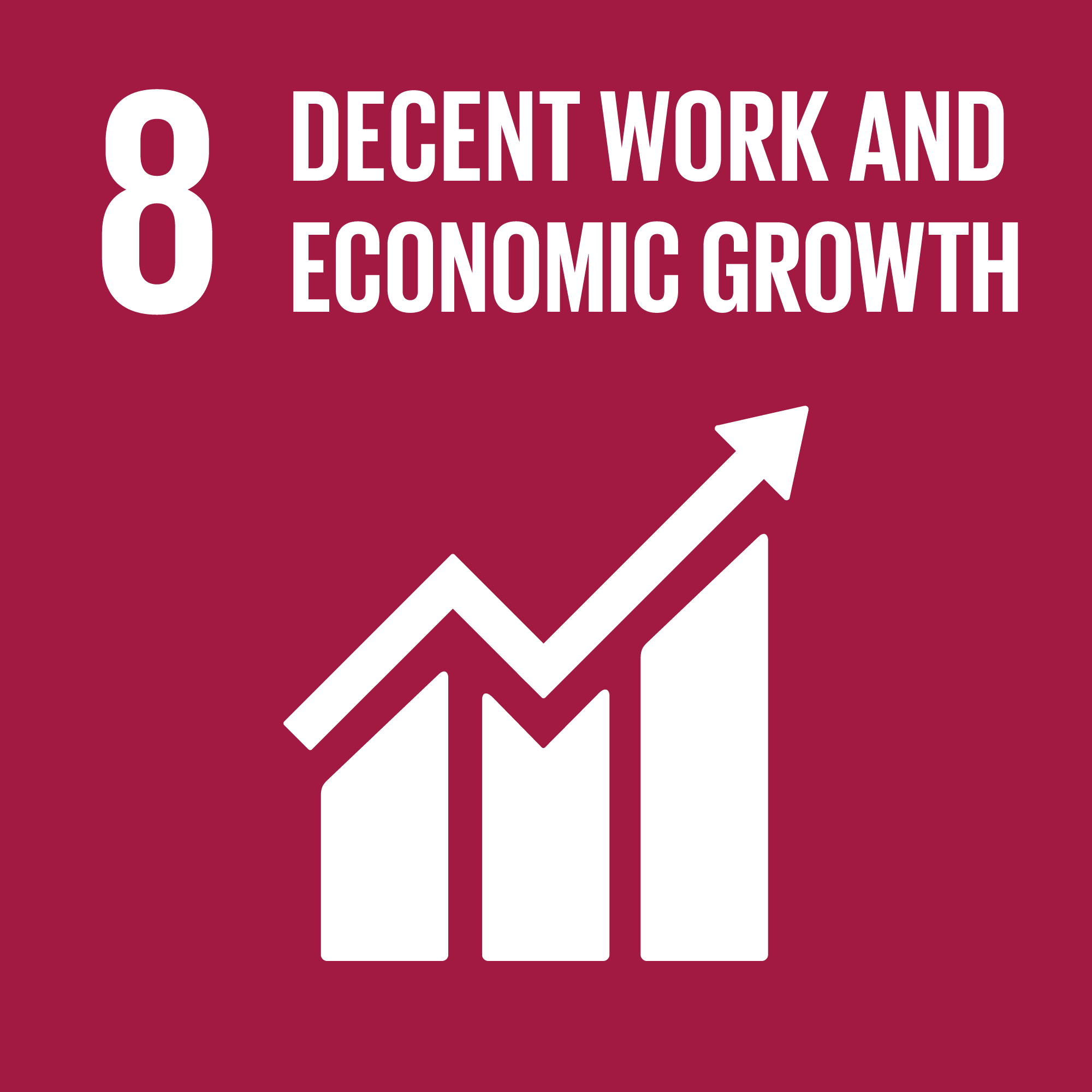 #8 Trabajo Decente y Crecimiento Económico