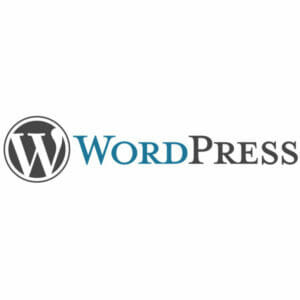 WordPress website basic installation with theme no add-ons